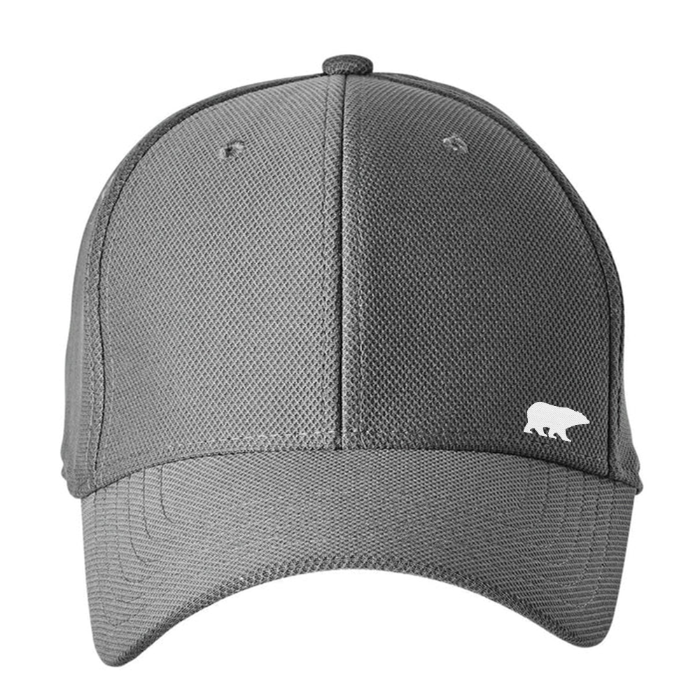 Hat Behr Under Armour Unisex Blitzing Curved Graphite